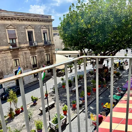 Steffy's Catania